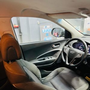 Limpieza sólo tapiz